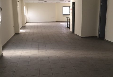 Βιομηχανικό ακίνητο Μάνδρα